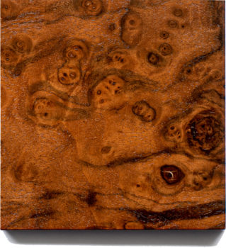 No.905 - American Walnut Burl No.905 - American Walnut Burl